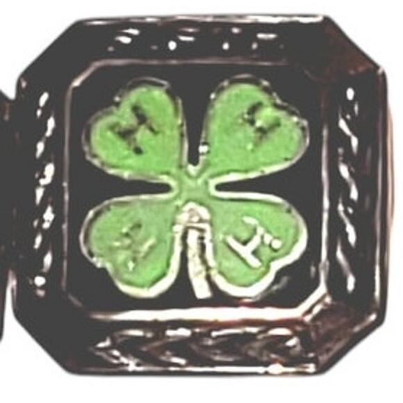 7 4-H Pins:  2-2nd , 3rd, 4th, 5th Sterling, 10K Clover & Junior Leadership Pin - Picture 7 of 13